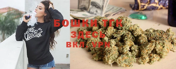прущая мука Арсеньев