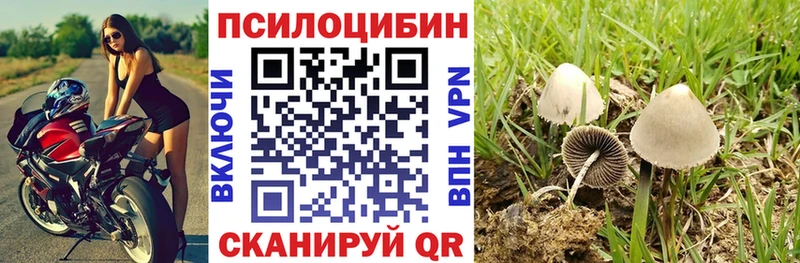 Псилоцибиновые грибы Psilocybe ОМГ ОМГ вход Козельск купить закладку
